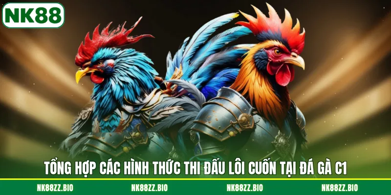Khám Phá Giải Đá Gà C1 & Cách Đặt Cược Chuẩn Xác Nhất tong-hop-cac-hinh-thuc-thi-dau-loi-cuon-tai-da-ga-c1