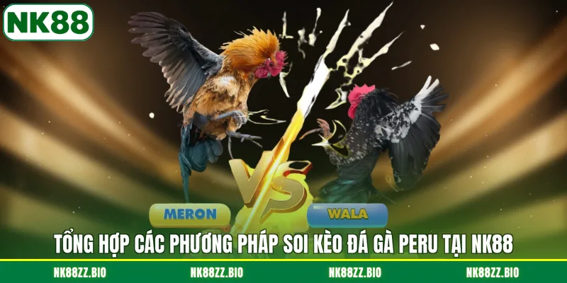 Đá Gà Peru - Đặc Điểm Nổi Bật Và 2 Bí Kíp Soi Kèo Đỉnh Cao tong-hop-cac-phuong-phap-soi-keo-da-ga-peru-tai-nk88